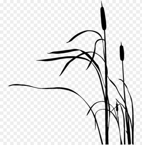 Plants Silhouette, Background Png Images, Cat Tails, Linocut Art, Cat Tail, Clear Background, Silhouette Png, Silhouette Art, Woodworking Ideas