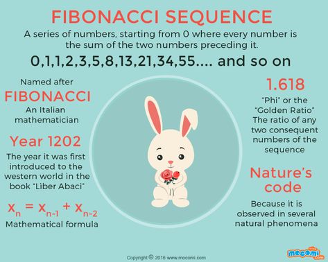 Fibonacci Numbers In Nature, The Fibonacci Sequence, Fibanocci Sequence, Fibonacci Day, Fibonacci Sequence Art, Fibonacci In Nature, Fibonacci Sequence In Nature, Fibonacci Series, Maths In Nature