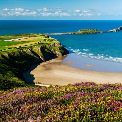 Three miles of cliffs, gorgeous sand and a picturesque coastline at Rhossili Bay, Wales. A dream destination! 😍 Rhossili Bay, Myrtos Beach, British Beaches, Gower Peninsula, Uk Beaches, South West Coast Path, Hanalei Bay, Cannon Beach, Beaches In The World