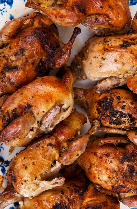 Quale Bird Recipes, Cooking Quail Meat, Recipes For Quail, Oven Baked Quail Recipes, Oven Roasted Quail, Easy Quail Recipes, Roasted Quail Recipes, Quail Recipes Crockpot, Whole Quail Recipes