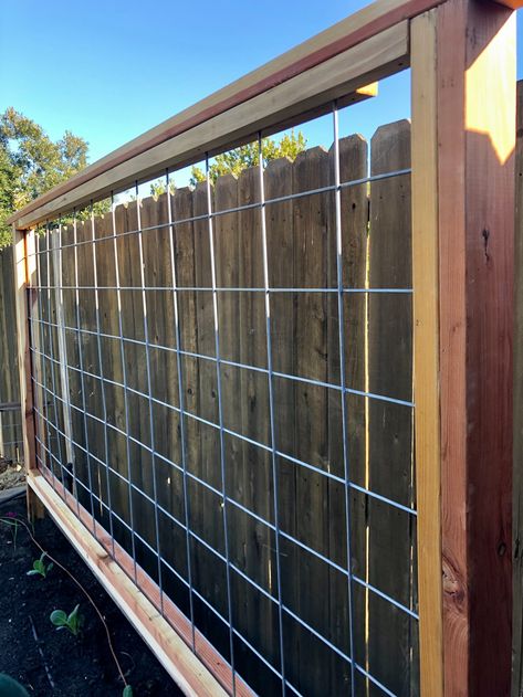 DIY CATTLE PANEL GARDEN TRELLIS Without a Router // Easy Step-By-Step Instructions on How to Build - Our Liberty House Cattle Panel Garden, Cattle Panel Fence, Build A Trellis, Cattle Panel Trellis, Panel Trellis, Building A Trellis, Cattle Panels, Wood Trellis, Rose Trellis