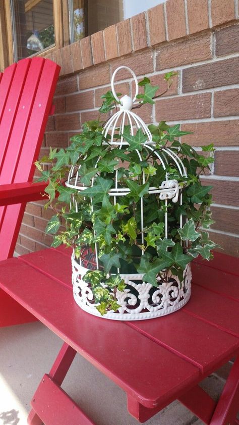 Birdcage Planter, Spring Outdoor Decor, Bird Cage Centerpiece, Small Bird Cage, Deco Champetre, Bird Cage Decor, Ivy Plants, Vintage Bird Cage, Birdcages