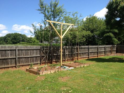 Small Furniture Ideas, Hop Trellis, Hops Trellis, Wedding Trellis, Garden Exterior, Wallpaper Garden, Pocket Garden, Diy Trellis, Low Maintenance Landscaping