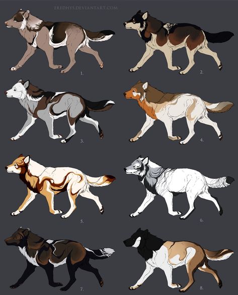 Wolf Adoptables, Home Rules, Dog Design Art, Wolf Designs, I Need Money, Wolf Colors, Canine Drawing, Wolf Character, Wolf Artwork