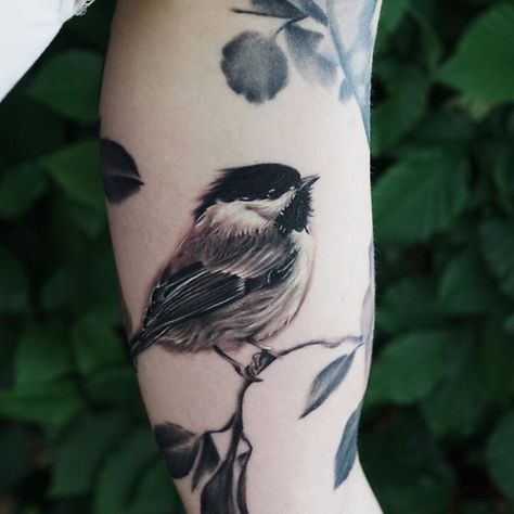 Chickadee Tattoo Flowers, Bird Tattoo Cover Up Ideas, Black And Gray Bird Tattoos, Illustrative Black And Grey Tattoo, Mountain Chickadee Tattoo, Black Capped Chickadee Tattoo, Maine Tattoo Ideas, Realistic Bird Tattoo, Chickadee Tattoo