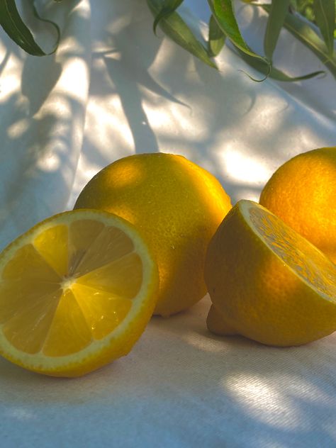 #fruit #lemon #photography #aesthetic #cute #summer #food Summer Baking, Fruit Photography, Art Hobbies, Cottagecore Aesthetic, Contemporary Luxury, Unique Prints, Yellow Aesthetic, Orange Cat, Summer Fruit