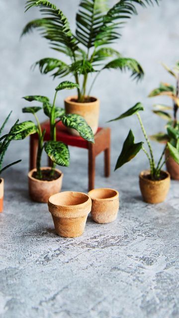 Air Dry Clay Plant Pots, Miniature Terracotta Pots, Terracotta Texture, Air Dry Polymer Clay, Lemon Art, Dollhouse Miniature Tutorials, Miniature Tutorials, Silicone Moulds, Miniature Plants