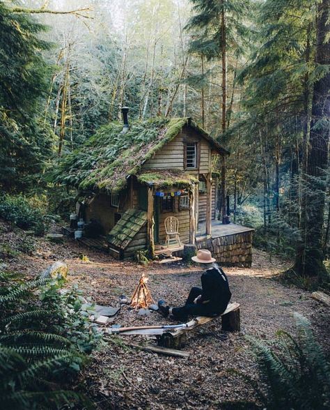 This cozy cottage surrounded by woods. Forest Cabin, Cottage In The Woods, A Cabin, Tiny House Cabin, Small Cabin, Cabins And Cottages, Cabin Life, Forest House, Decor Minimalist