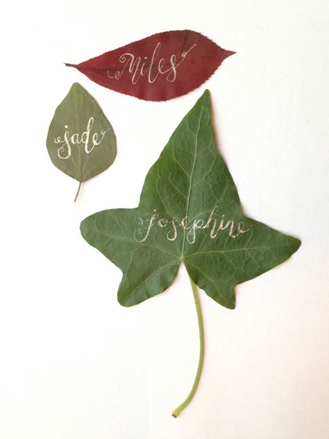 Botanical wedding leaf place name settings www.poppyandpipkin.co.uk Wedding Table Designs, Wedding Place Names, Wedding Table Number Cards, Vine Leaves, Name Place Cards, Eco Wedding, Wedding Scene, Wedding Place Settings, Eco Friendly Wedding