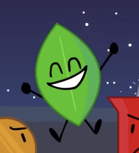 Bfdi Icons, Leafy Bfb Fanart, Leafy Bfb Icons, Bfdi Fanart, X Pfp Bfdi, Leafy Bfb, Leafy Pfp Bfdi, Bfdi Leafy, Leafy Bfb Memes