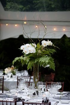 Tall, Medium sized centerpieces on Pinterest Decoration Buffet, Fern Wedding, Elegant Wedding Centerpiece, Orchid Centerpieces, Tall Wedding Centerpieces, Orchid Wedding, Orchid Arrangements, Tall Flowers, Tall Centerpieces