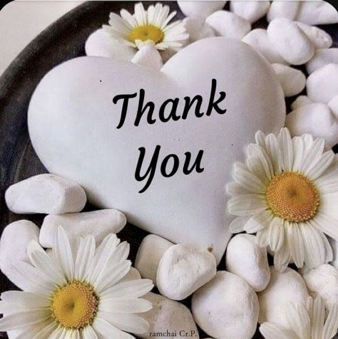 Thank You All For The Birthday Wishes, Thankful Quotes For Friends, Thank You Quotes For Friends, Thank You Quotes Gratitude, Thank You Messages Gratitude, Thank You Wallpaper, Good Wishes Quotes, Thank You For Birthday Wishes, Message For Best Friend