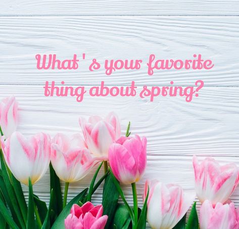 Scentsy Banner, Engagement Questions, Usborne Books Party, Facebook Group Games, Spring Social, Interactive Facebook Posts, Mary Kay Marketing, Facebook Engagement Posts, Home Party Games