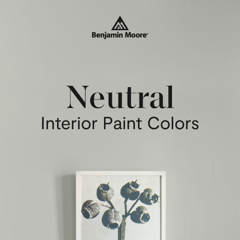 It's time for timeless. Polished ebony floors. Ironed linen sheets. Rustic farm tables. The Benjamin Moore collection of neutral paint colors never gets weary. They're an atmospheric and inviting choice—subtle, nuanced colors for any time, every space. Metropolitan Benjamin Moore, Neutral Benjamin Moore Paint Colors, Fog Mist Benjamin Moore, Benjamin Moore Barren Plain, Ebony Floors, Neutral Paint Colors Benjamin Moore, Neutral Interior Paint Colors, Neutral Wall Colors, Rustic Farm Table