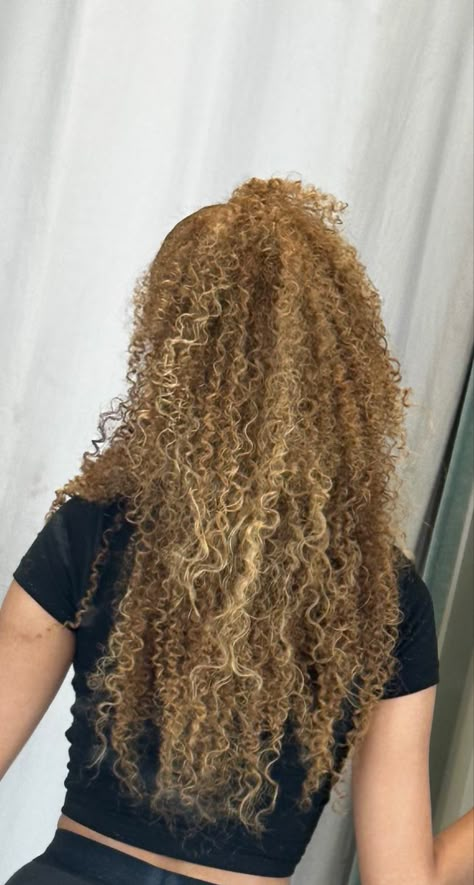 Honey Blonde Hair Curly, Hair Fall Colors, Curly Hairstyles Updos, Honey Blonde Natural Hair, Colors For Curly Hair, Honey Blonde Curly Hair, Honey Blonde Curls, Updos For Curly Hair, Curly Hair Sew In