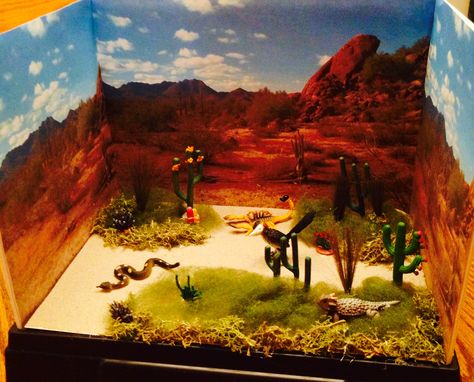 Desert Diorama Sahara Desert Diorama, Grand Canyon Diorama, Desert Diorama Ideas For Kids, Desert Diorama Projects, Desert Project For School, Desert Biome Project Ideas, Snake Diorama, Ecosystem Diorama, Biome Diorama