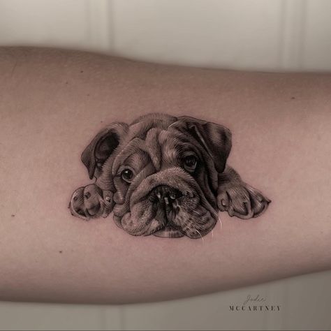 English bulldog animal tattoo English Bulldog Tattoo, Dog Portrait Tattoo, Bulldog Tattoo, Tattoo Project, English Bulldog, Dog Portraits, Tattoos And Piercings, Portrait Tattoo, I Tattoo