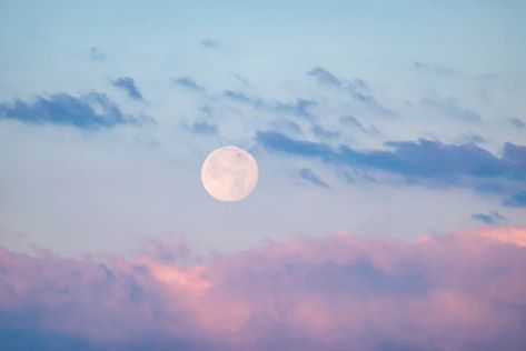 Why do we sometimes see the Moon during the day? - BBC Sky at Night Magazine Moon During The Day, Moon In The Morning, Morning Moon, Moon Meaning, Moon Orbit, Next Full Moon, Sky At Night, Planetary System, Solar Eclipses