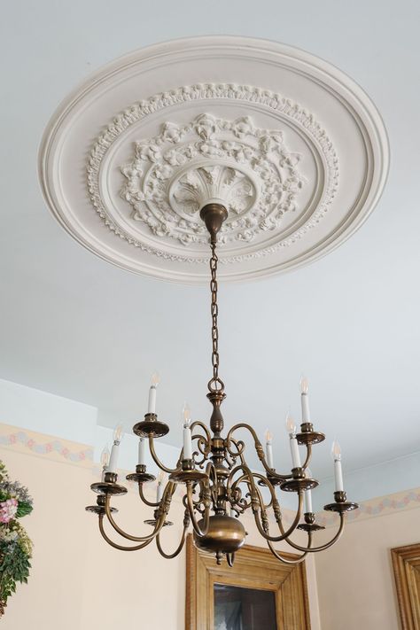 Ceiling medallion ideas