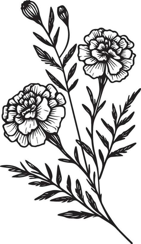 Fantasy marigold wall decor, marigold doodle, and sticker, Marigold vector art, monochrome floral illustration. ink vector illustration hand drawn pencil sketch, a branch of botanical collectio Wild Flower Art Drawings, Desert Marigold Tattoo, Marigold Border Design, Marigold Chest Tattoo, Easy Marigold Drawing, Marigold Flower Tattoo Traditional, Marigold Outline Tattoo, Feminine Blackwork Tattoo, Mexican Marigold Tattoo