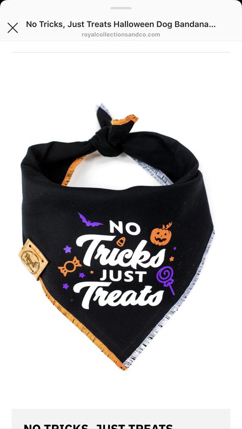 Cricut Dog Bandana Christmas, Fall Dog Bandana Sayings, Dog Phrases, Bandana Ideas, Halloween Dog Bandana Ideas, Halloween Bandanas For Dogs, Dog Bandana Diy, Fall Dog Bandana, Cute Dog Bandanas Halloween