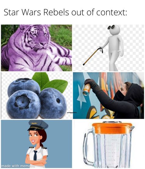 Star Wars Rebels Art, Starwars Rebels, Space Family, Sw Rebels, General Kenobi, Star Wars Rebels Memes Funny, Star Wars Jokes, The Force Is Strong, Fictional World