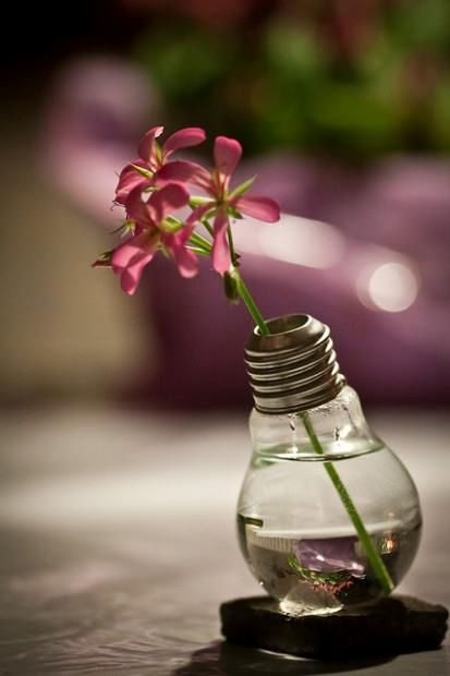 Lovely vase...brilliant idea! Light Bulb Vase, Diy Light Bulb, Decoration Pictures, Bulb Vase, Diy Light, Old Lights, Interior Pictures, Lightbulbs, Garden Crafts