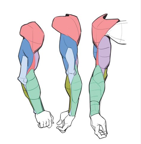 Anatomy Drawing Reference Male, Arms Drawing Anatomy, Arm Construction Drawing, Male Arms Anatomy, How To Draw Arms Male, Anatomy Drawing Basic, Arm Anatomy Simplified, Human Back Muscles, Male Arm Anatomy Drawing