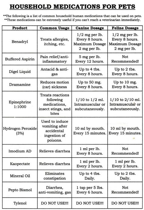 Meds For Dogs, Dog Medicine, Dog Remedies, Dog Health Tips, German Shepards, Safety Training, Dog Safety, Dog Care Tips, Pet Care Tips