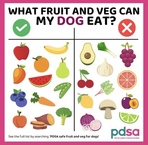 Dogs Eating, Dog Eating, Fruit And Veg, My Dog, Pet Dogs, Fruit, Pet, Canning, Plants