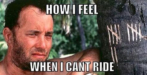 How I feel when I can't ride my bike... Bicycle Humor, Cycling Memes, Bike Humor, Cycling Humor, Folding Mountain Bike, Bike Quotes, Cycling Quotes, Biker Quotes, Downhill Bike