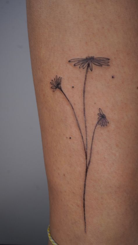 Fineline tattoo, botanic tattoo, floral tattoo, girly tattoos Daisy Vine Tattoo, Line Daisy Tattoo, Fine Line Daisy, Fine Line Daisy Tattoo, Daisies Tattoo, Fine Tattoo, Inspiring Tattoos, Botanical Tattoos, Hip Thigh Tattoos