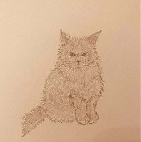 Fluffy Texture Drawing, Cat Drawing Fluffy, How To Draw A Fluffy Cat, Fluffy Cat Sketch, Fluffy Cat Drawing, English Assignment, Kitten Drawing, Cat Sketch, Cat Doodle