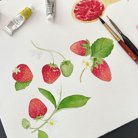 Watercolor Strawberry, Strawberry Watercolor, Strawberry Art, Watercolor Food, Watercolor Paintings Tutorials, Sketchbook Journaling, Food Drawing, Strawberry Jam, Painting Tutorial