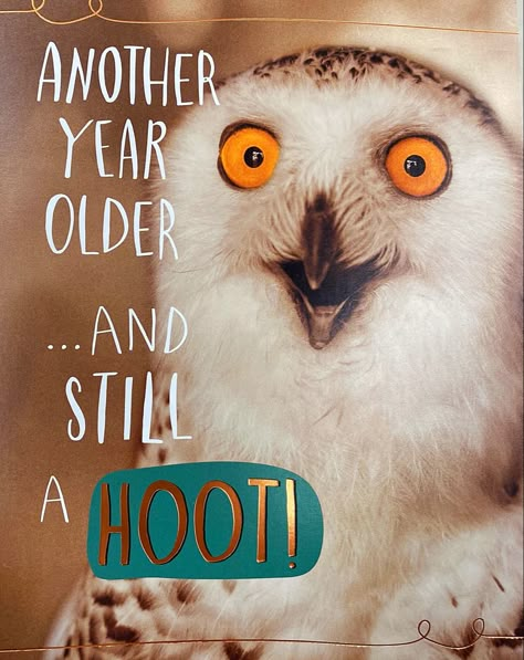 Happy Birthday Owl, Funny Happy Birthday Messages, Birthday Owl, Birthday Verses For Cards, Happy Birthday Wishes Pics, Birthday Wishes Pics, Funny Happy Birthday Wishes, Birthday Wishes Flowers, Birthday Greetings Friend