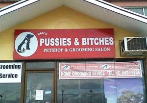 pussiesandbitches Funny Business Names, Funny Shop, Shopping Humor, Jokes Videos, Grooming Salon, Funny Names, Laughing So Hard, Funny Signs, Pet Grooming