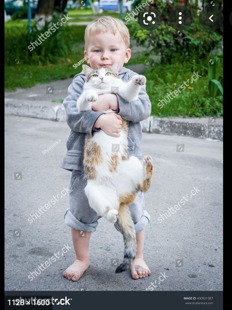 Love Foto, Art Girl Aesthetic, Child Boy, Cat Reference, Baby Drawing, Hand Reference, Cat Pose, Character Poses, Pose Reference Photo