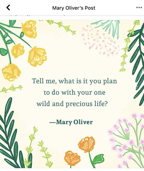 One Wild And Precious Life, Wild And Precious Life, Mary Oliver, Garden Quotes, Journal Quotes, Sweet Quotes, Lovely Quote, Badass Women, Pretty Words