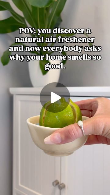 Back to the Roots on Instagram: "Talk about the ‘zest’ air freshener around… 🍋

Are we crazy, or is the combo of lime, salt, vinegar and fabric softener a genius way to boost the fragrance in your home? Leave your thoughts in the comments below, then share this life hack with a friend. 

#limehack #naturalhometips #naturalairfreshener #airfreshenerhack #naturalhomeremedy #fabricsoftener #organichomes #organicgardeners #organicgrowing #naturallifehack" Fabric Softener Air Freshener, Natural Air Freshener, Lime Salt, Life Hack, House Smells, Natural Home Remedies, The Roots, Fabric Softener, Home Hacks