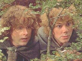 Merry And Pippin Aesthetic, Pippin And Merry, Merry Pippin, Lord Of Rings, Billy Boyd, Merry And Pippin, Concerning Hobbits, Frodo Baggins, Into The West