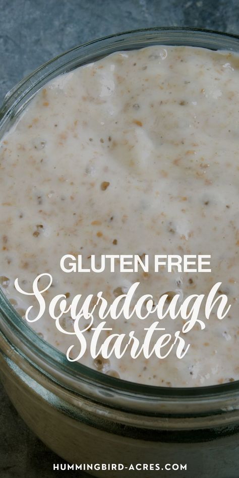 Sourdough Gluten Free Starter, Gluten Free Sour Dough Starter, Gluten Free Sour Dough Starter Recipe, Gluten Free Sourdough Starter Recipe, Keto Sourdough Starter, Sourdough Gluten Free Recipes, Gluten Free Sourdough Recipes, Gf Sourdough Starter, Best Sourdough Starter Recipe