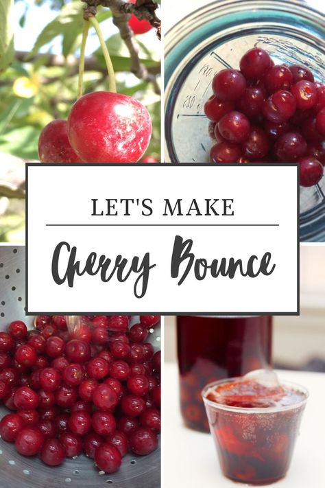 Cherry Concentrate Recipes, Cherry Alcoholic Drinks, Cherry Drinks Alcoholic, Cherry Drink Recipes, Cherry Christmas Cocktail, Cherry Bounce Recipe With Honey, Cherry Bounce Recipe, Cherry Moonshine Recipe, Cherry Bounce Recipe Whiskey