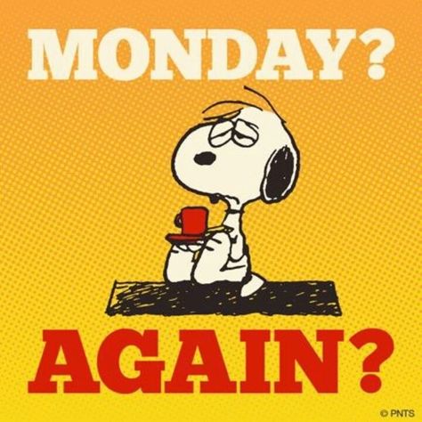 Yes it's Monday again! Monday's can be rough but we have 50 funny Happy Monday quotes to brighten your day. Happy Monday Quotes, Monday Humor Quotes, Today Is Monday, Monday Again, Monday Humor, Snoopy Funny, Peanuts Cartoon, Snoopy Quotes, Snoopy Pictures