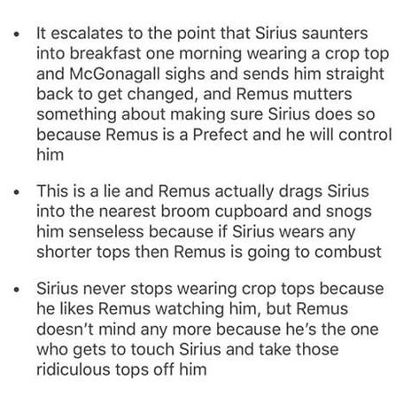 Thats The Art Of Getting By Wolfstar, Wolfstar Raising Harry, Wolfstar Raising Harry Fanfiction, Wolfstar Raises Harry, Harry Otter, Wolfstar Memes Funny, Remus And Sirius, Funny Harry Potter Jokes, Harry Potter Feels