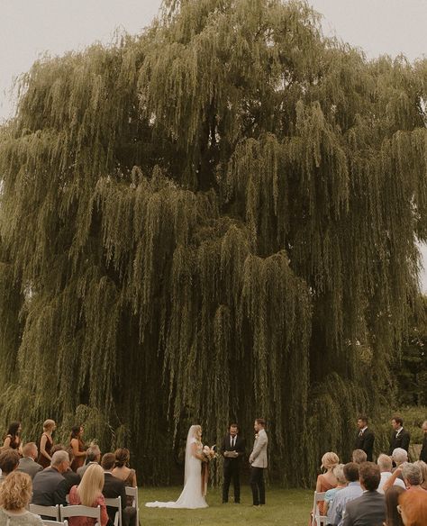 Tree Wedding Ceremony, Wedding Cermony, Willow Tree Wedding, New York Wedding Venues, Forest Theme Wedding, March Wedding, Neutral Wedding, Cute Wedding Ideas, Tree Wedding