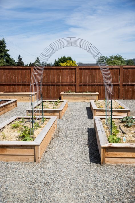 Garden Bed Layout, Garden Arch Trellis, Raised Bed Garden, Arch Trellis, Garden Arches, Garden Area, Veg Garden, Have Inspiration, Home Vegetable Garden