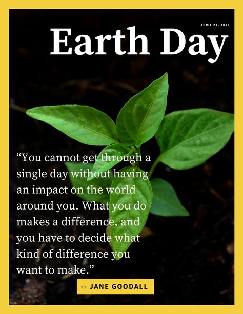 Earth Day Images, Earth Day Quotes, Earth Quotes, Cheap Hotel, Happy Earth Day, Say That Again, Clever Quotes, Happy Earth, Planet Fitness Workout