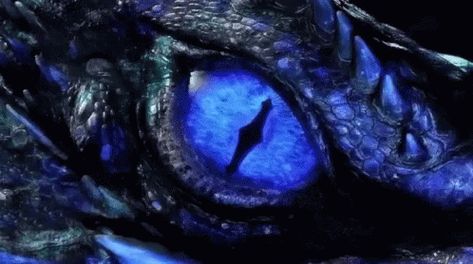 Dragon Blue Eyes GIF - Dragon Blue Eyes Dragon Eye - Discover & Share GIFs Rock Kunst, Dragon Eye Drawing, Blue Eyes Aesthetic, Dragon Eyes, Eyes Wallpaper, Fire Art, Dragon Pictures, Dragon Eye, Dragon Artwork