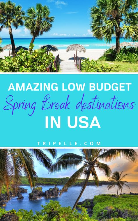 While all these spring break destinations offer thrilling things to do, you may be better off choosing some more unique features and attractions within each one.  This will ensure you are not dealing with the massive crowds of people who had the same spring break ideas as you! Spring Break Ideas For Teens, Spring Break Ideas For Families, Spring Break Destinations Families, Spring Break Ideas, Spring Travel Destinations, Spring Break Pictures, Crowds Of People, Family Spring Break, Spring Break Kids