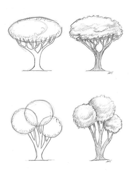 Drownings Easy Nature, How To Draw A Tree Easy, Tree Sketches Simple, Drawing Trees Step By Step, How To Draw A Tree, How To Draw Trees, Draw Tree, Trees Drawing Tutorial, Draw Trees